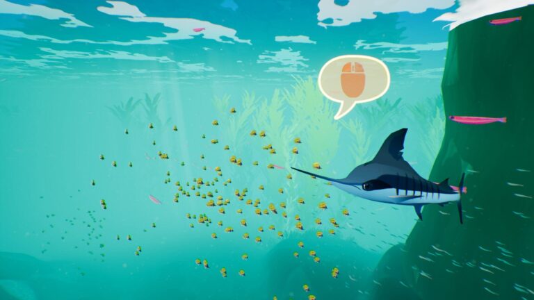 cxd1fsa1hu0zgpmauoh5